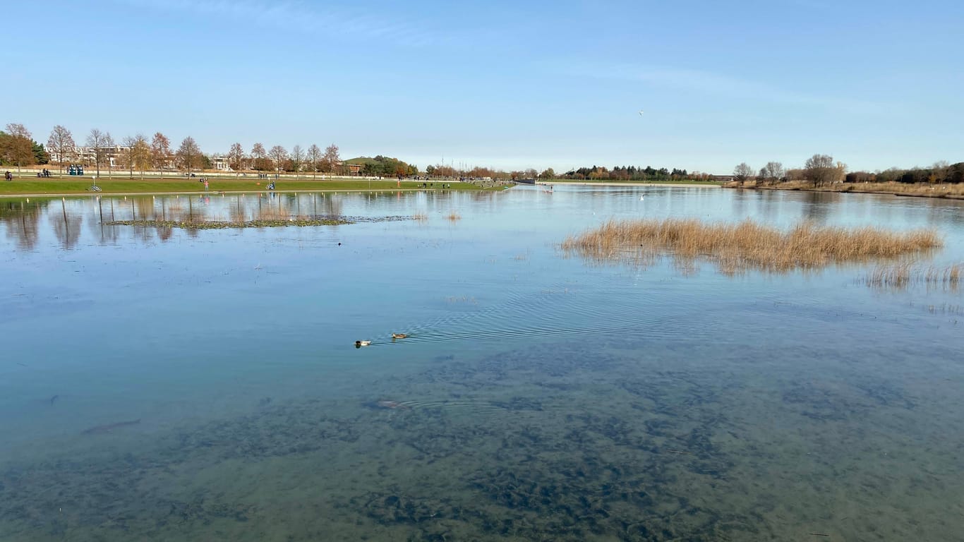 Der Riemer See in München im Stadteil Riem ist ein im Zuge der Bundesgartenschau 2005 künstlich angelegter Badesee (Archivbild): Am Montag verlor ein Mann dort das Bewusstsein und konnte sich nicht mehr helfen.