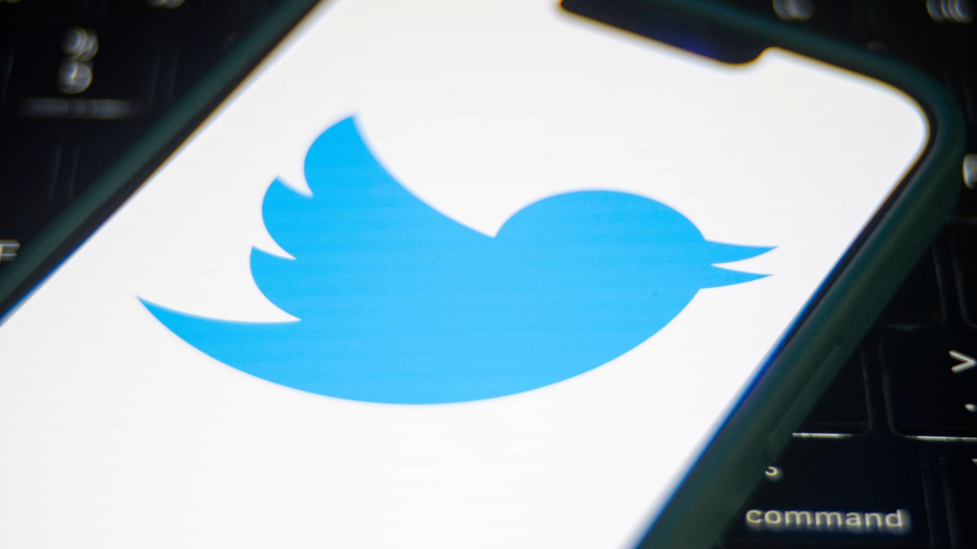 Twitter-Logo: Der Kurznachrichtendienst hat offenbar technische Probleme. Twitter-Logo: Der Kurznachrichtendienst hat offenbar technische Probleme.
