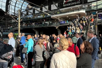 Hauptbahnhof Hamburg: Reisende warten vergeblich auf ihre Züge