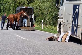 Verladung eines der Springpferde: Die A1 war wegen des Vorfalls stundenlang gesperrt.