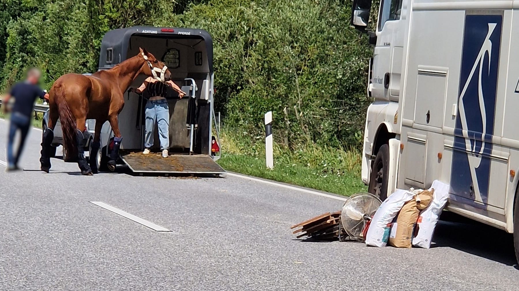 A1 bei Neustadt in Holstein Unfall mit wertvollen Pferden A1 gesperrt