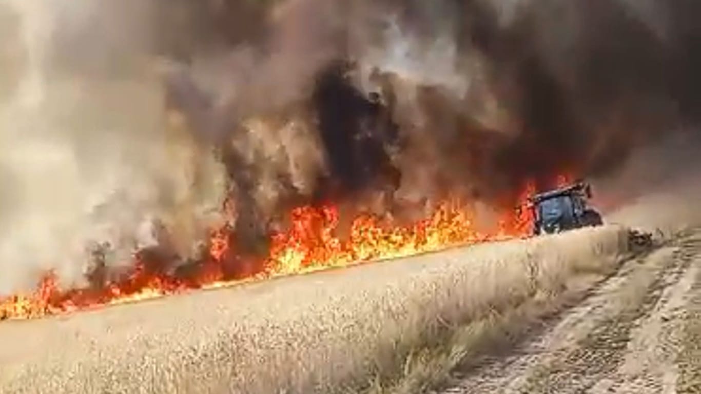 Standbild aus einem Augenzeugenvideo: 100.000 Quadratmeter ausgetrocknetes Feld brannten ab.