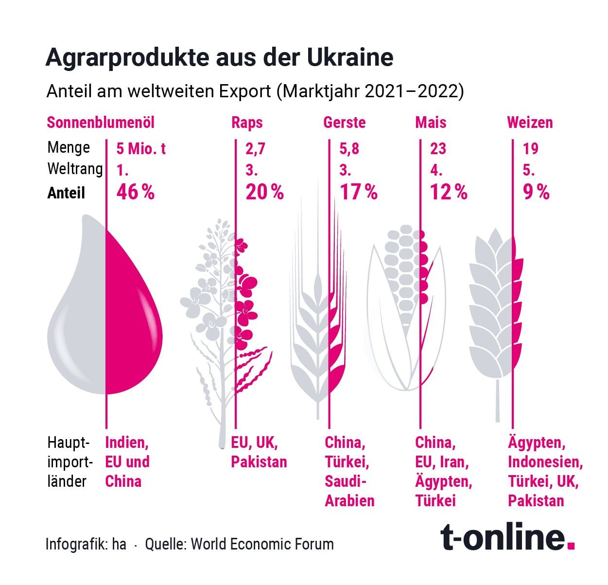 Agrarprodukte aus der Ukraine: Der Anteil am weltweiten Exportmarkt war in den vergangenen Jahren insbesondere beim Sonnenblumenöl gewaltig.