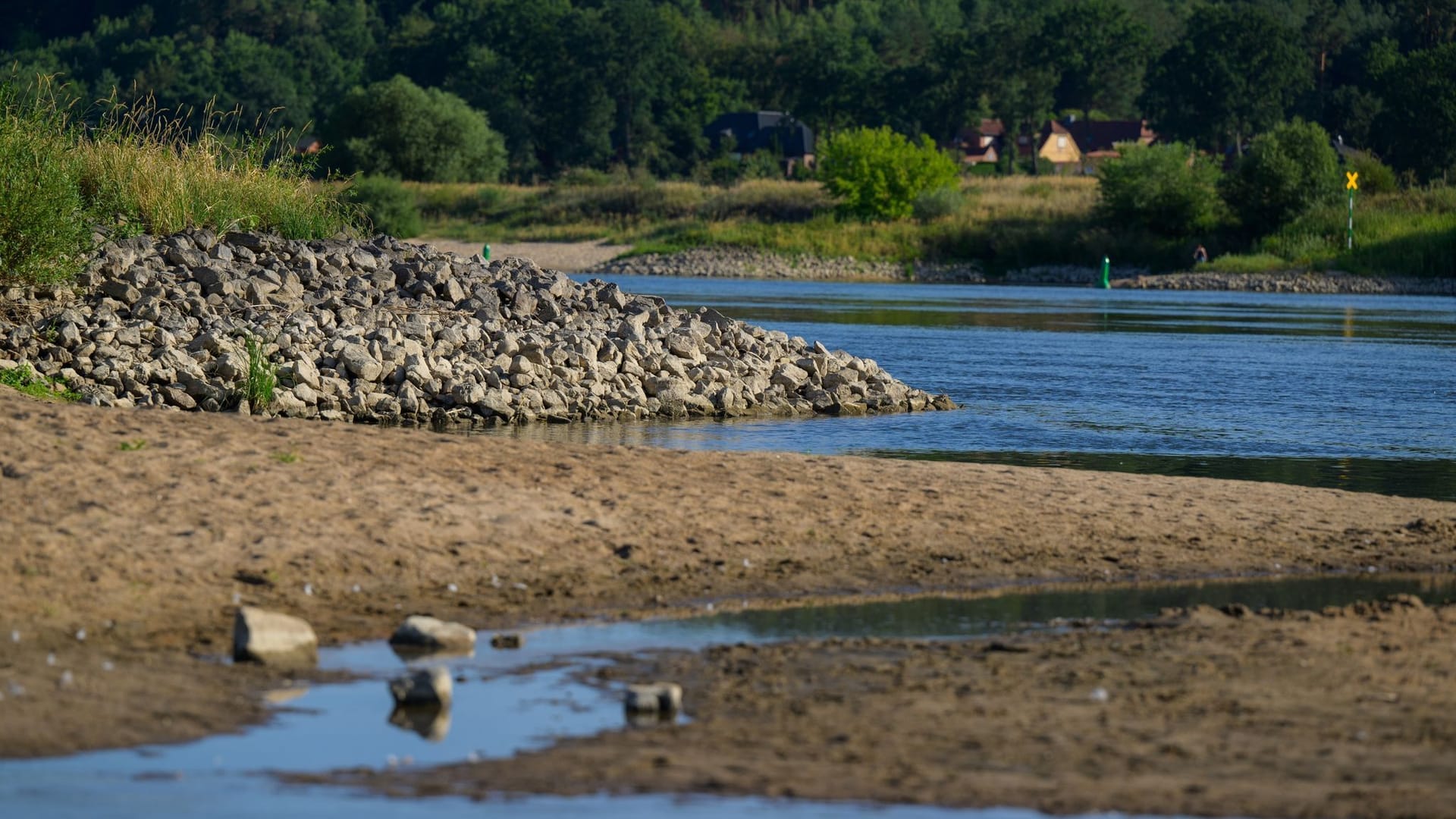 Niedrigwasser an der Elbe