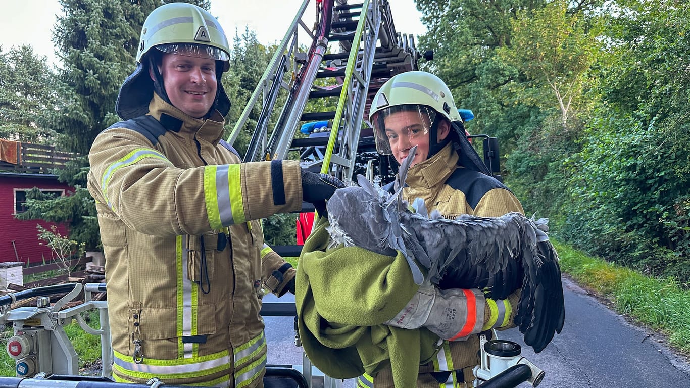 Ungewöhnlicher Einsatz: Die Feuerwehrleute Sascha Gerkens und Timm Freund bringen das erschöpfte Tier auf den Boden.