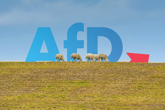 AfD Logo hinter einem Deich versteckt