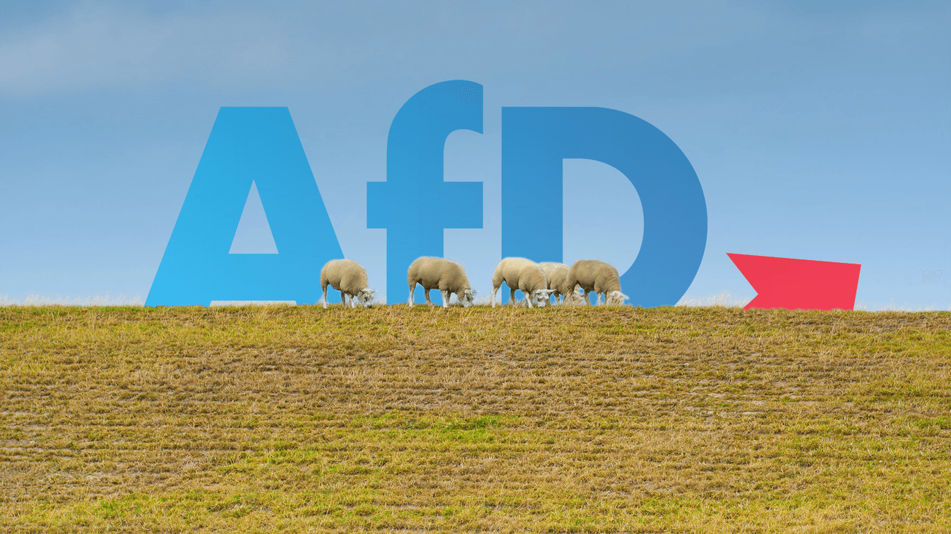 AfD Logo hinter einem Deich versteckt