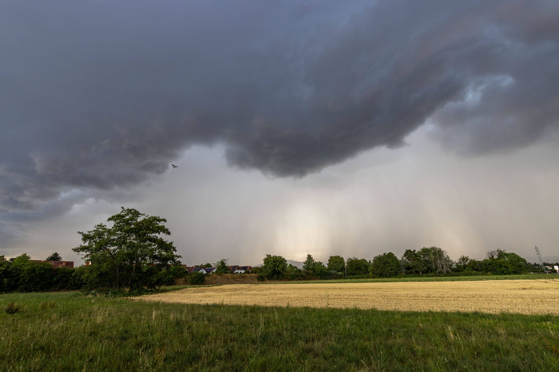 Gewitter: Der Sommer in Deutschland macht erstmal Pause.