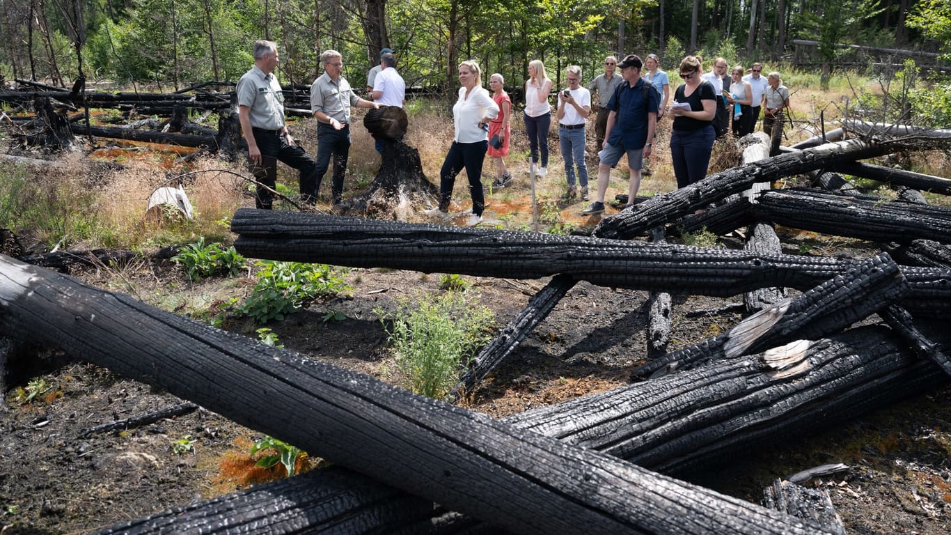 Barbara Klepsch (CDU, M), Ministerin für Kultur und Tourismus in Sachsen, steht im Rahmen eines Pressetermins auf einer Waldbrandfläche im Nationalpark Sächsische Schweiz. Die Waldbrandgefahr ist in einigen Regionen Sachsens wieder gestiegen.