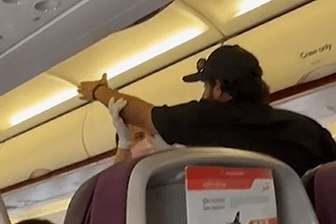 Der Mann streitet mit einer Stewardess: Das Flugzeug musste umdrehen.