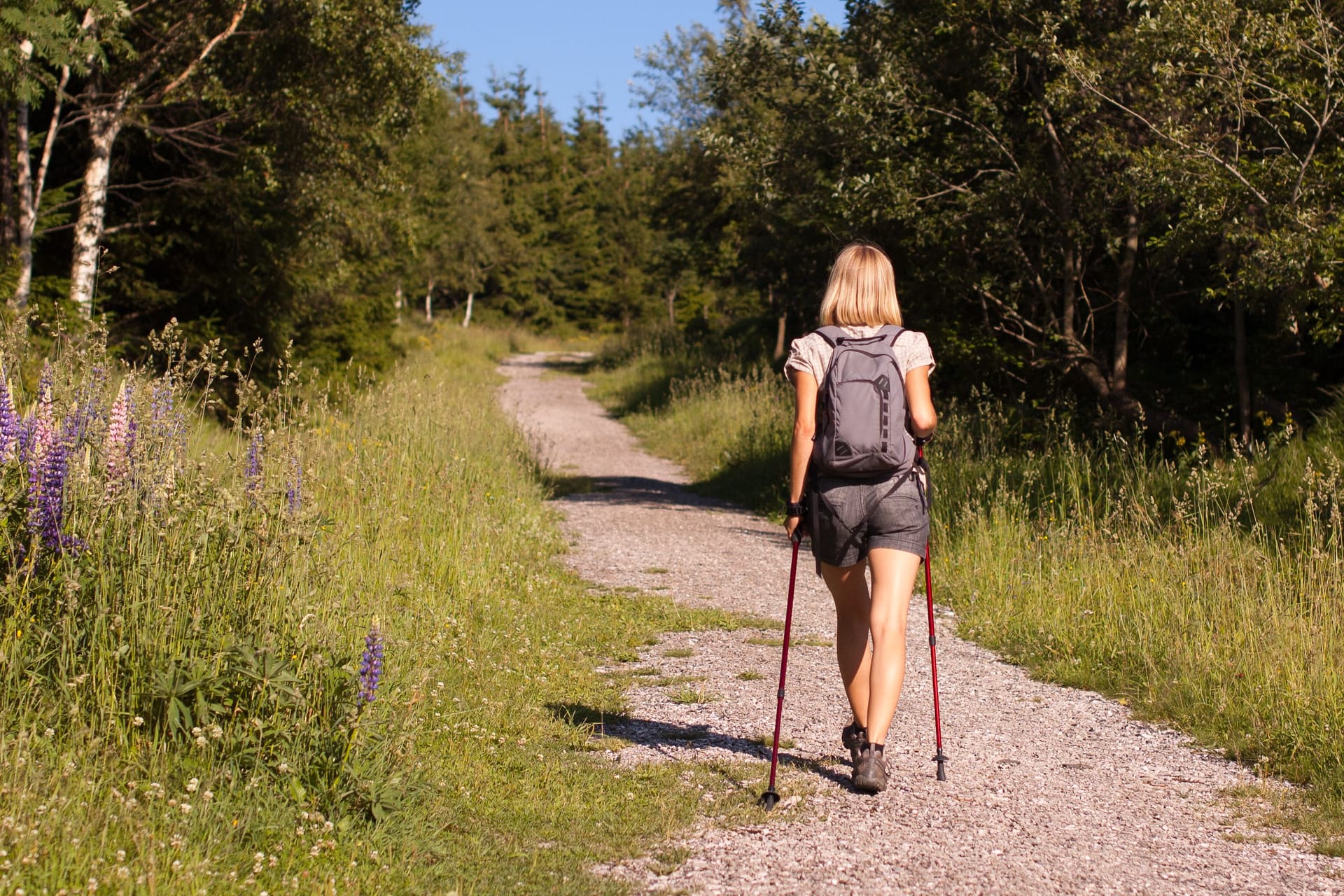 Heute sind bei Lidl Nordic-Walking-Stöcke radikal reduziert. (Symbolbild)