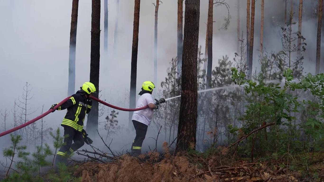 Feuerwehr im Einsatz in Brandenburg: Plötzlich griff der Brand auf die Bäume über.