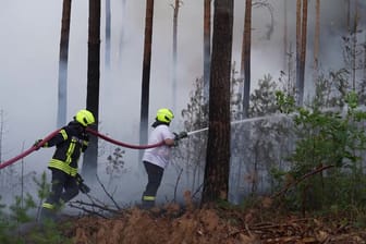 Feuerwehr im Einsatz in Brandenburg: Plötzlich griff der Brand auf die Bäume über.
