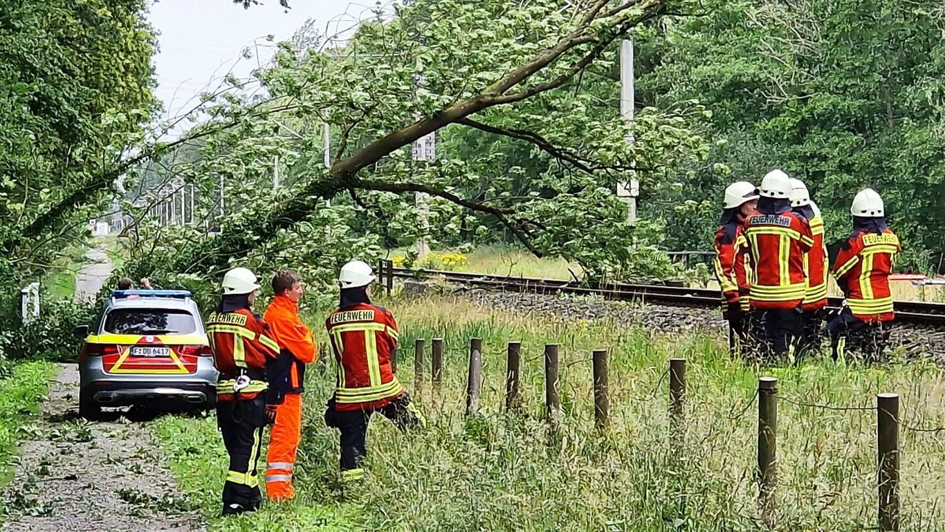Einsatzkräfte der Feuerwehr stehen neben einem umgestürzten Baum über der gesperrten Bahnstrecke zwischen Oldenburg und Leer: Das Sturmtief "Poly" hat vor allem die Nordseeregion schwer getroffen.