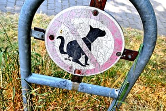 Hundekot-verboten-Schild (Symbolbild): Der Mann rastete wegen Kot in der Wohnung aus.