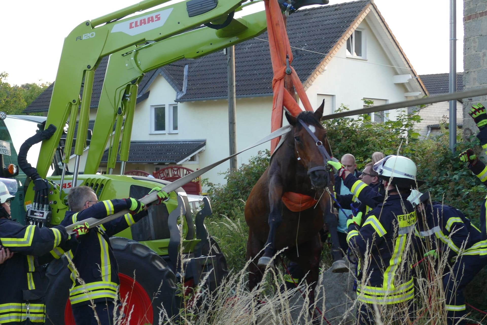 Stute "Bella": Mit vereinten Kräften zogen die Feuerwehrleute das Pferd aus der Grube.