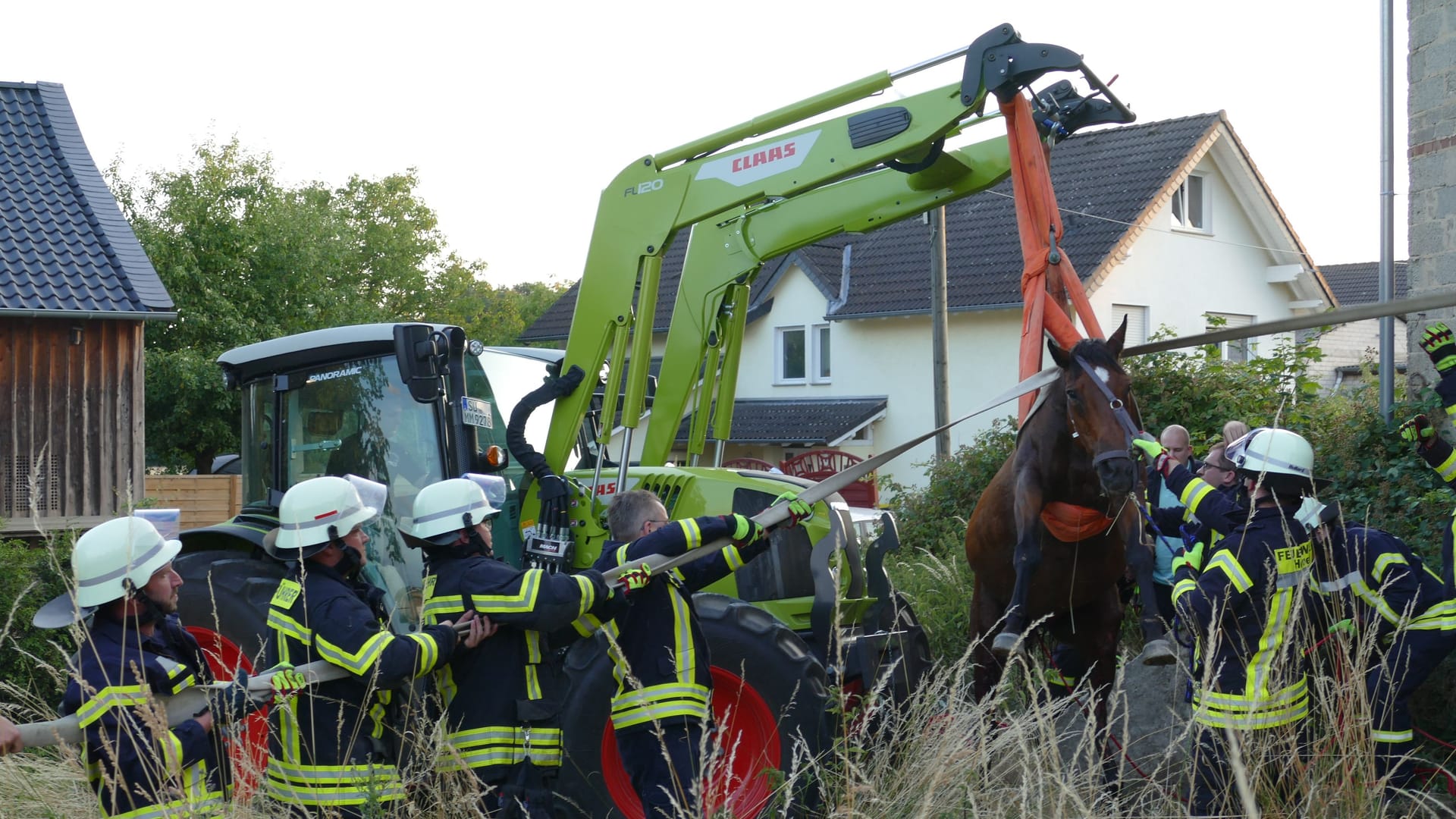 Stute "Bella": Mit vereinten Kräften zogen die Feuerwehrleute das Pferd aus der Grube.