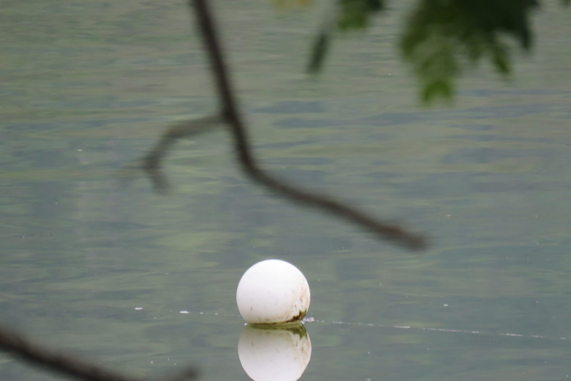 Weißer Ball im Wasser (Symbolbild): Der Tote soll einen Ball geholt haben wollen.