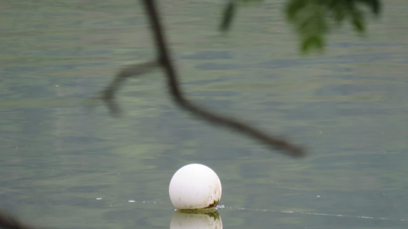Weißer Ball im Wasser (Symbolbild): Der Tote soll einen Ball geholt haben wollen.