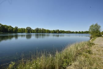 Im Hohnsensee in Hildesheim sind zu viele Blaualgen: Diese Bakterien können unangenehme Folgen für Mensch und Tier haben.