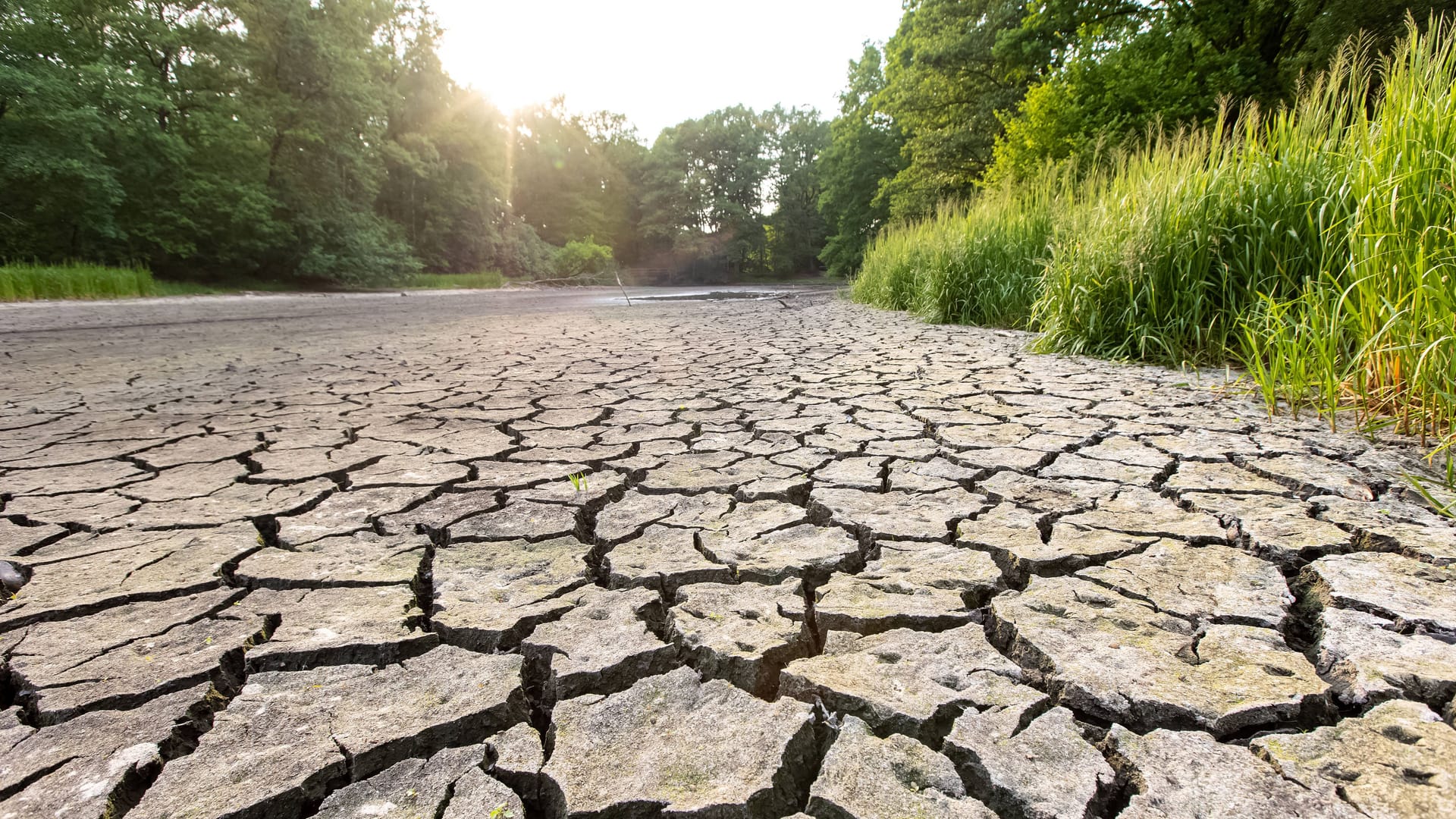 Starke Trockenheit: El Niño verursacht höhere Temperaturen.