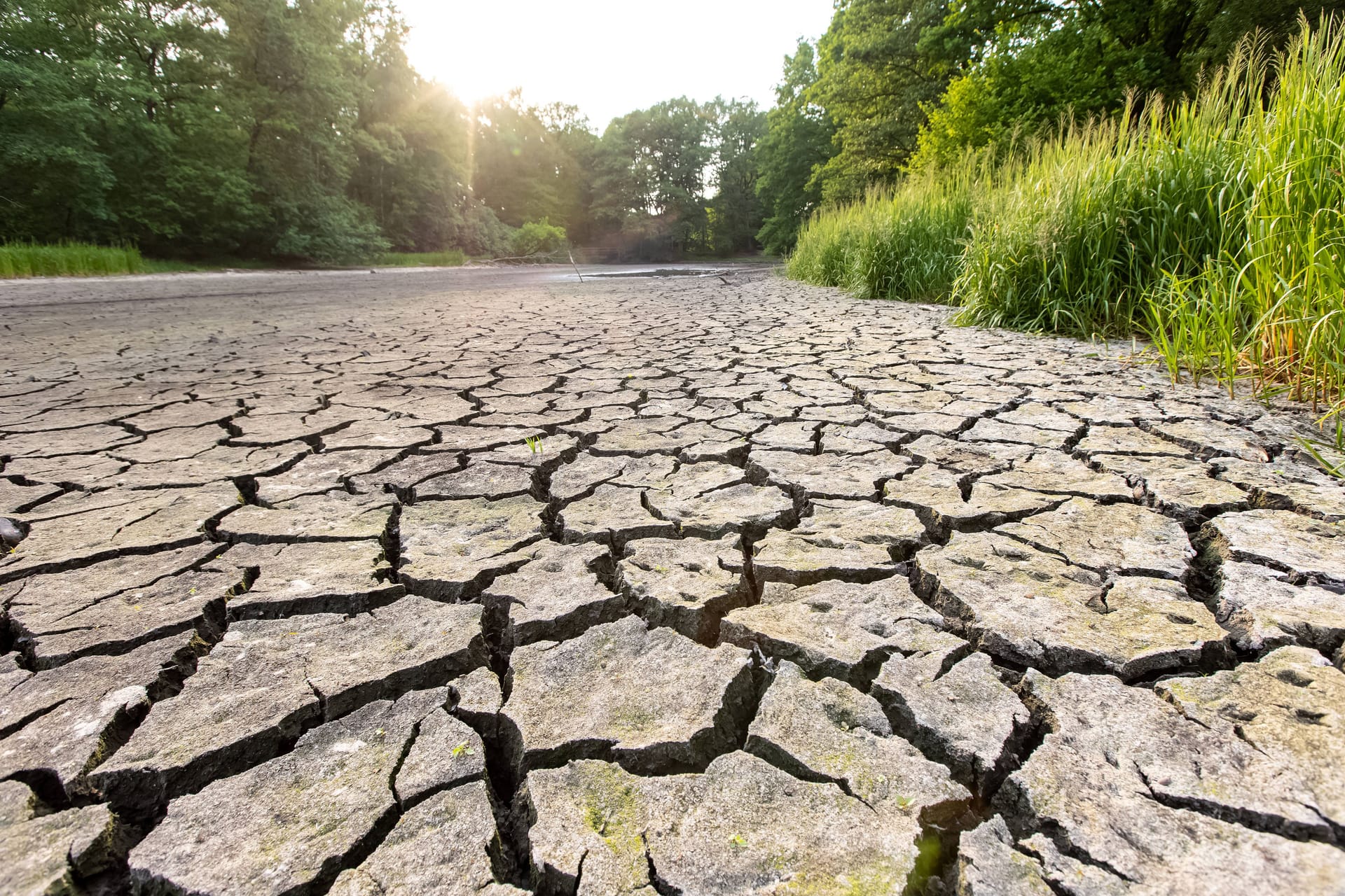 Starke Trockenheit: El Niño verursacht höhere Temperaturen.