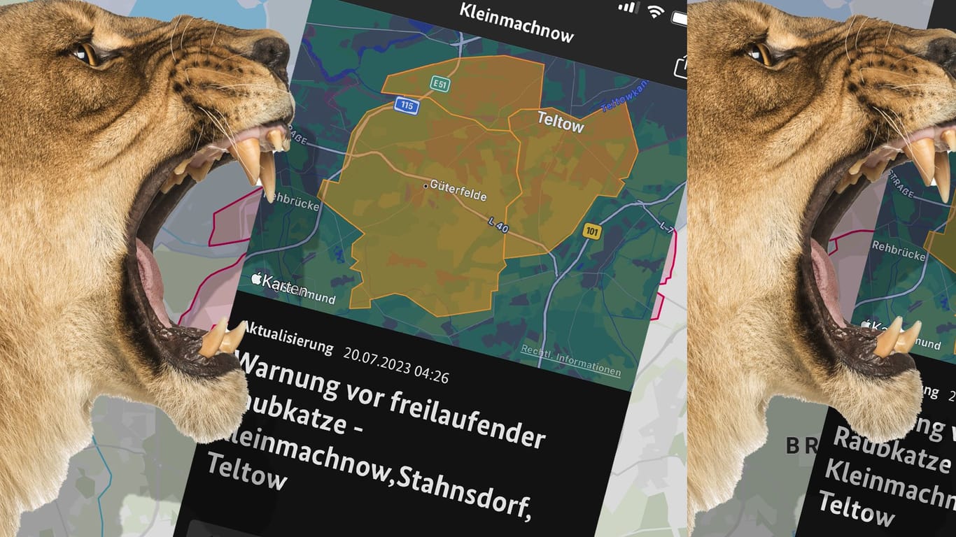 Löwin unterwegs: Eine solche Warnmeldung für gefährliche Raubtiere ist in Deutschland den Leitstellen für Meldungen in Apps nicht hinterlegt.