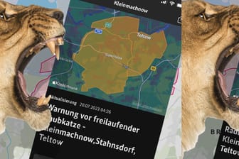 Löwin unterwegs: Eine solche Warnmeldung für gefährliche Raubtiere ist in Deutschland den Leitstellen für Meldungen in Apps nicht hinterlegt.