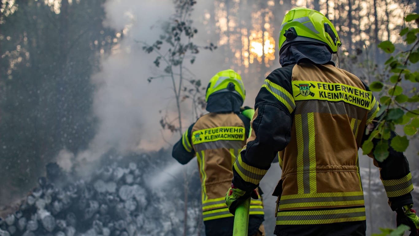 Einsatzkräfte der Feuerwehr in Kleinmachnow (Archivbild): Immer wieder kommt es in Deutschland gerade in Nadelwäldern zu Waldbränden.