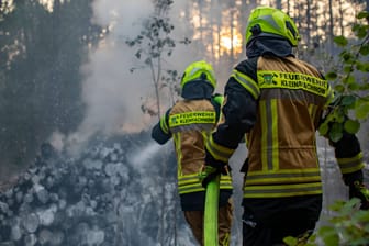 Einsatzkräfte der Feuerwehr in Kleinmachnow (Archivbild): Immer wieder kommt es in Deutschland gerade in Nadelwäldern zu Waldbränden.