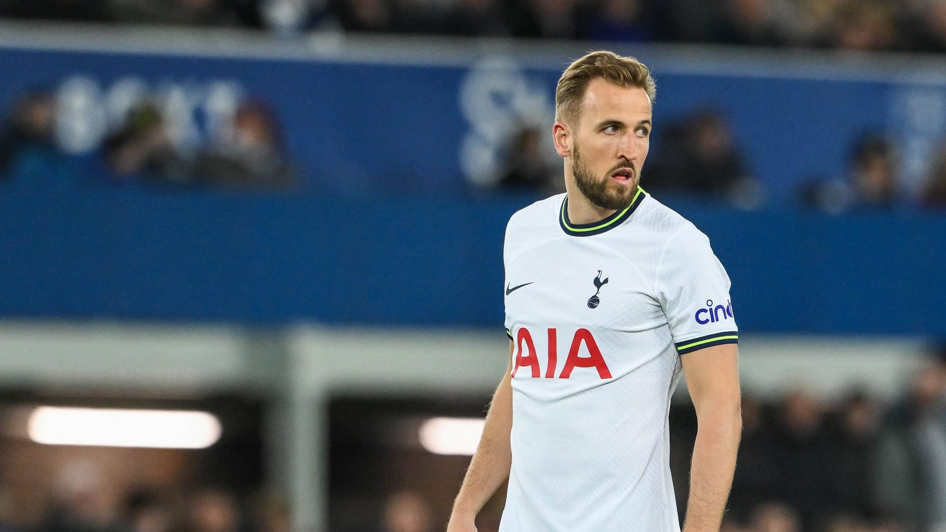 Harry Kane: Die Bayern buhlen seit Wochen um den Stürmer.