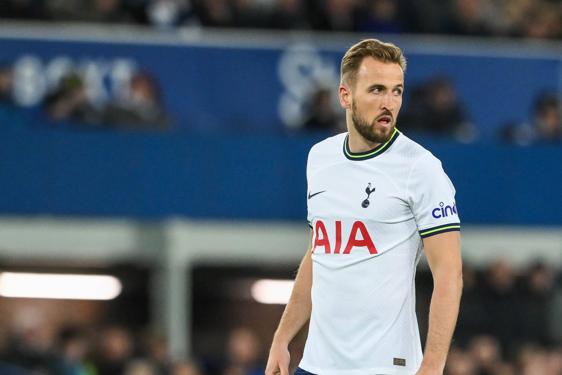 Harry Kane: Die Bayern buhlen seit Wochen um den Stürmer.