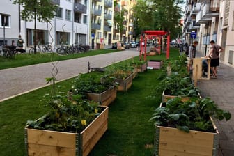 Grüner Rasen und Hochbeete: Die Kolumbusstraße in München wurde für ein Forschungsprojekt zur autofreien Zone.