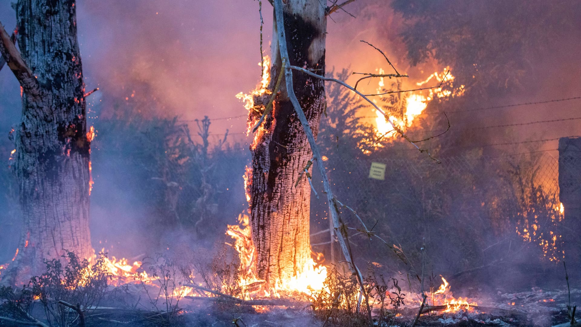 Waldbrand in Südbrandenburg: Die Klimakrise hat fatale Folgen für Umwelt, Mensch und Tier.