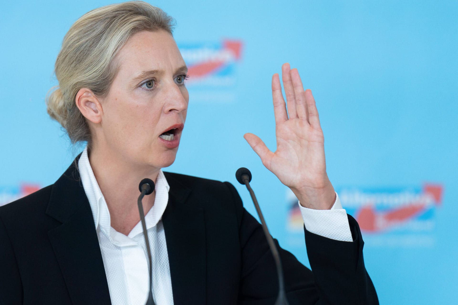 Alice Weidel: Die AfD-Vorsitzende und ihre Partei sind zweitstärkste Kraft.