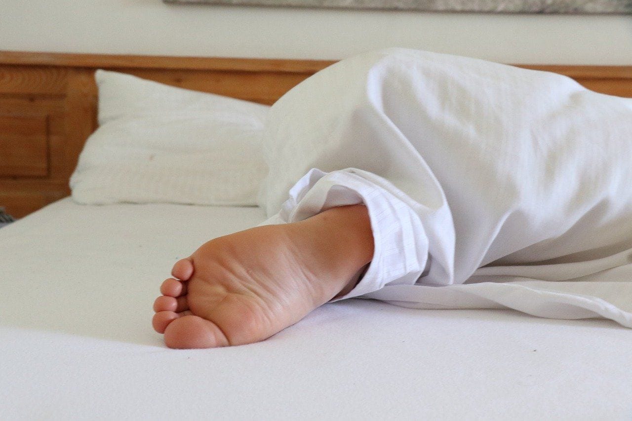Haben sich in Ihrem Bett Bettwanzen eingenistet, kann die Matratze noch so bequem sein – mit regelmäßigen Bissen wird die Nacht nicht sehr erholsam.