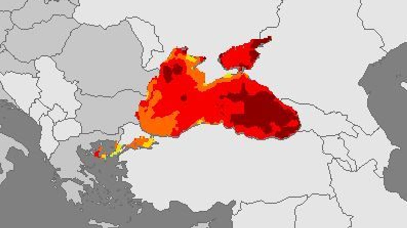 Da, wo es rot leuchtet, ist das Vorkommen am größten: Das Schwarze Meer ist zurzeit (Stand 8. Juli 2023) stark mit Vibrionen belastet.