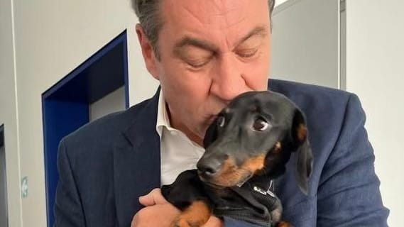 Was denkt dieser Hund? Das Netz ist sich unter dem Beitrag von Markus Söder einig.