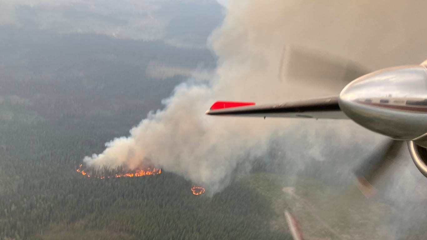 Löschflugzeug über British Columbia in Kanada: Der Rauch der Waldbrände verpestet die Luft bis weit in die USA hinein.