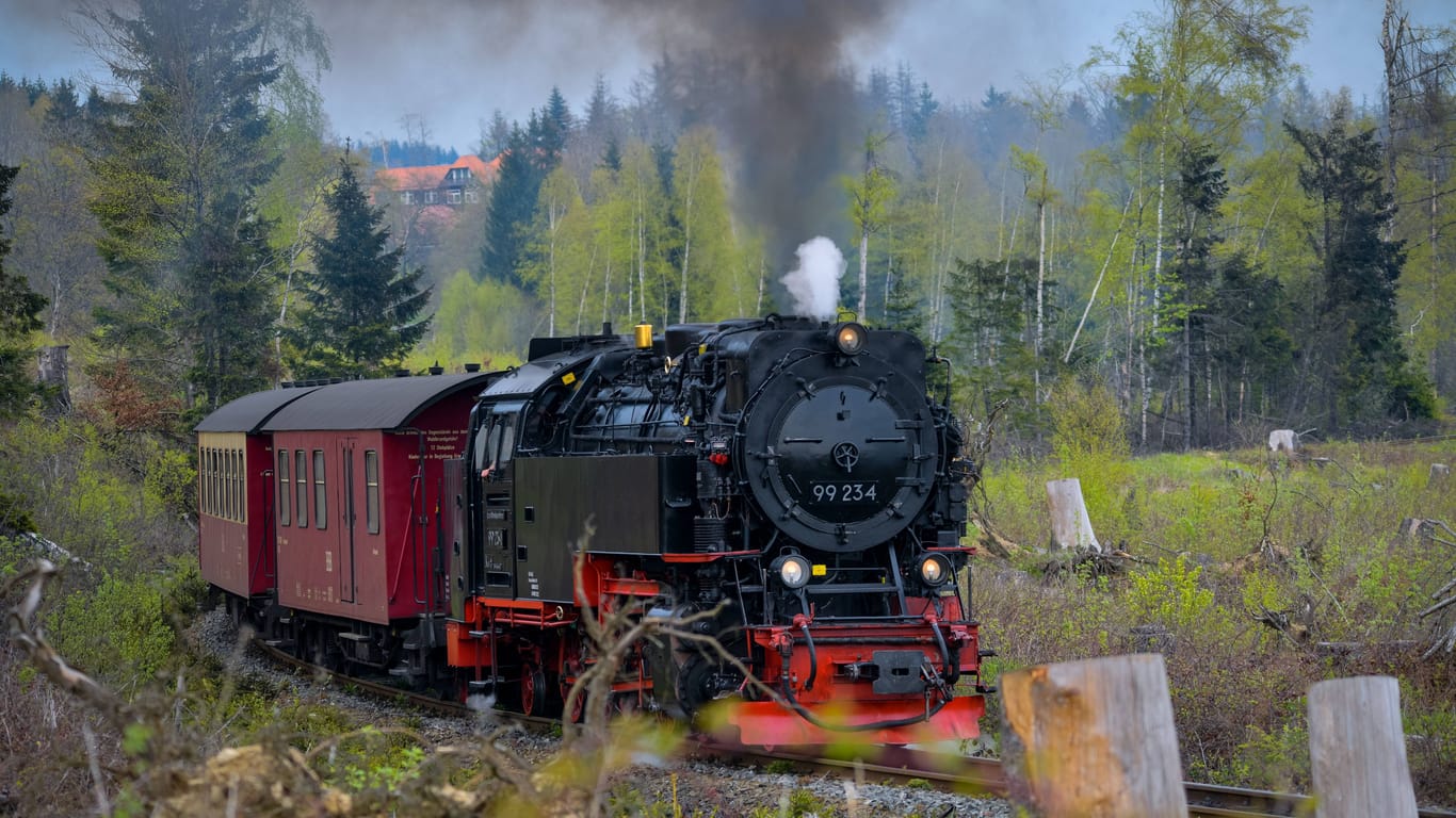 Harzer Schmalspurbahn: Der Nationalpark Harz gehört zu den beliebtesten Nationalparks in Deutschland.