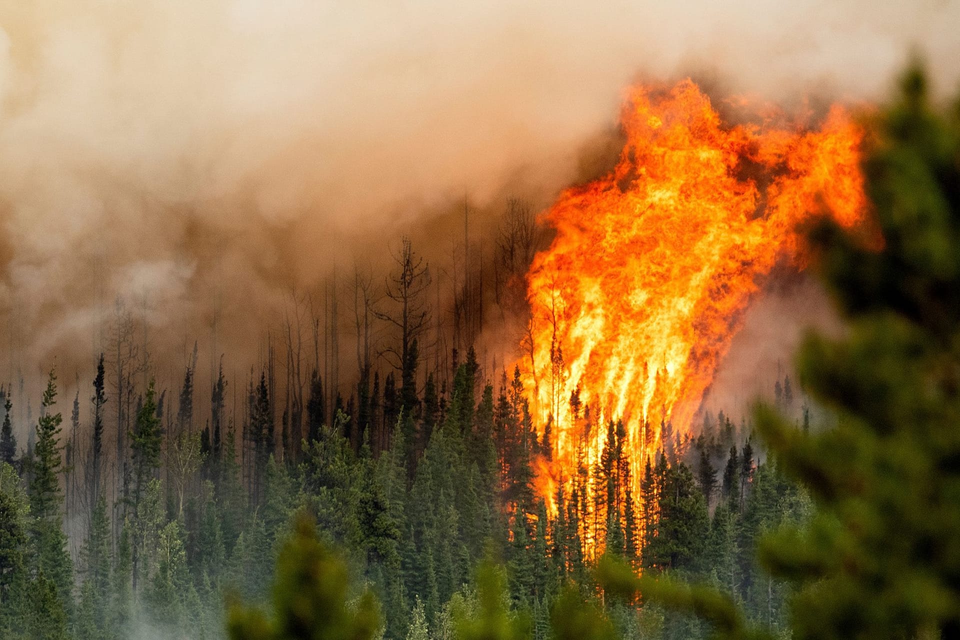 Ein Waldbrand wütet in der Region Donnie Creek (Archivbild).