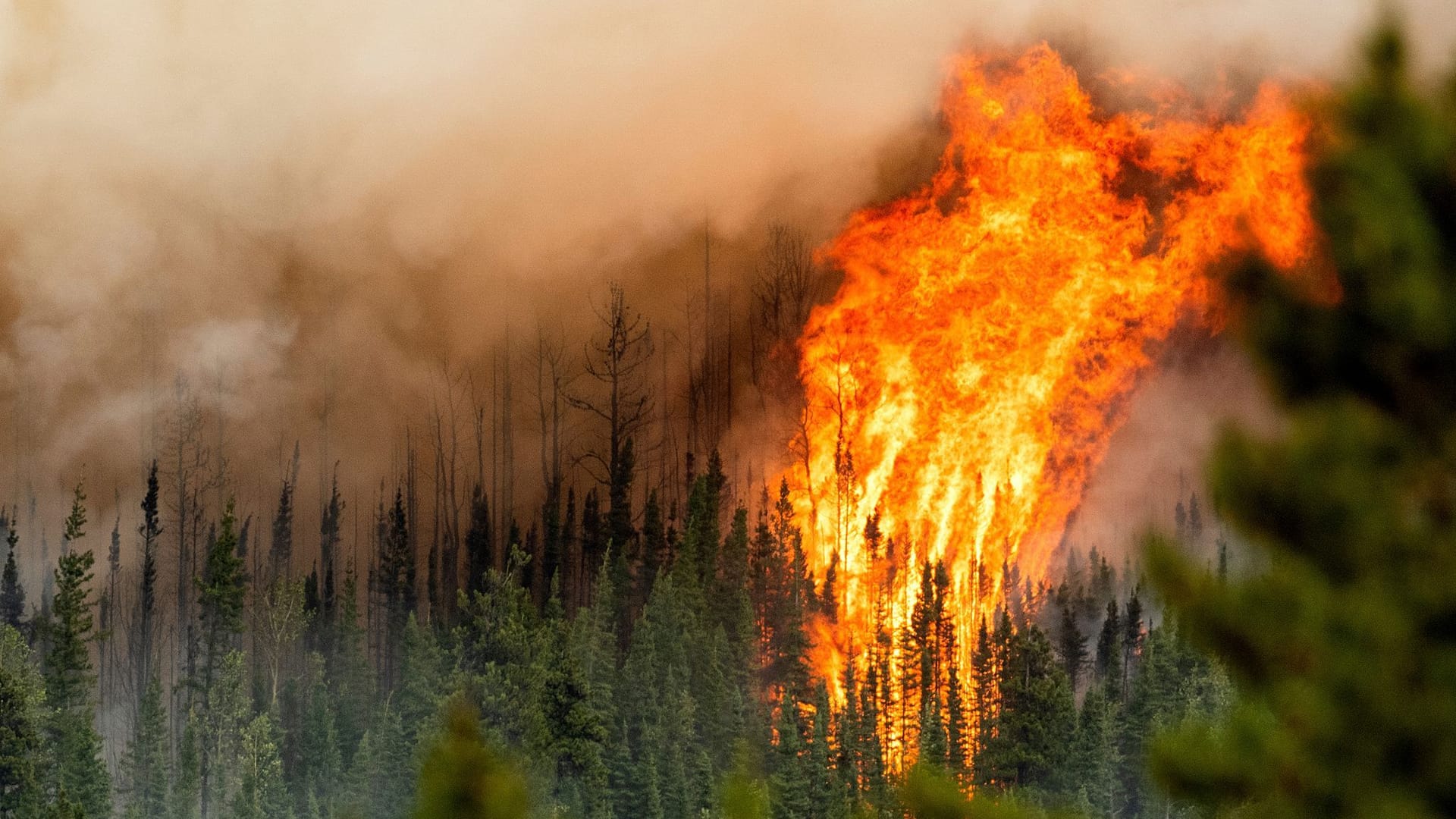 Ein Waldbrand wütet in der Region Donnie Creek (Archivbild).