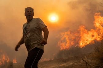 Verzweiflung in Griechenland: Beenden die Waldbrände die Hauptsaison des Tourismus?