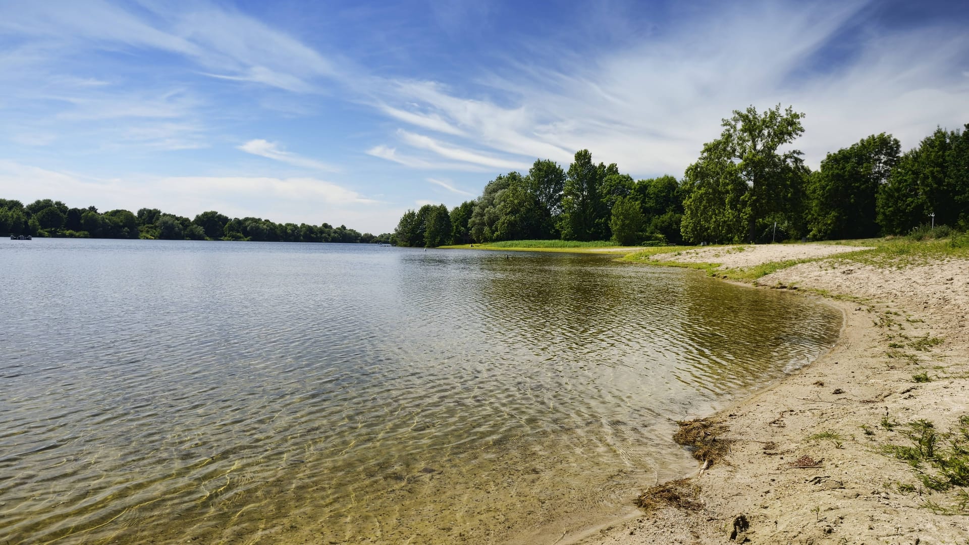 Eichbaumsee in Hamburg: Er ist wieder wegen Blaualgen zum Baden gesperrt.