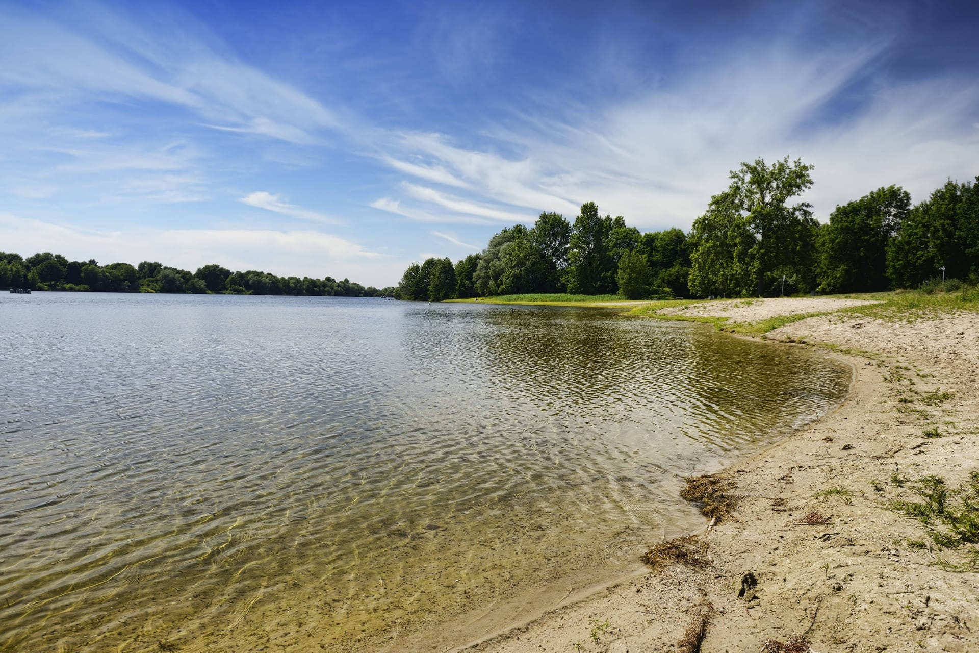 Eichbaumsee in Hamburg: Er ist wieder wegen Blaualgen zum Baden gesperrt.