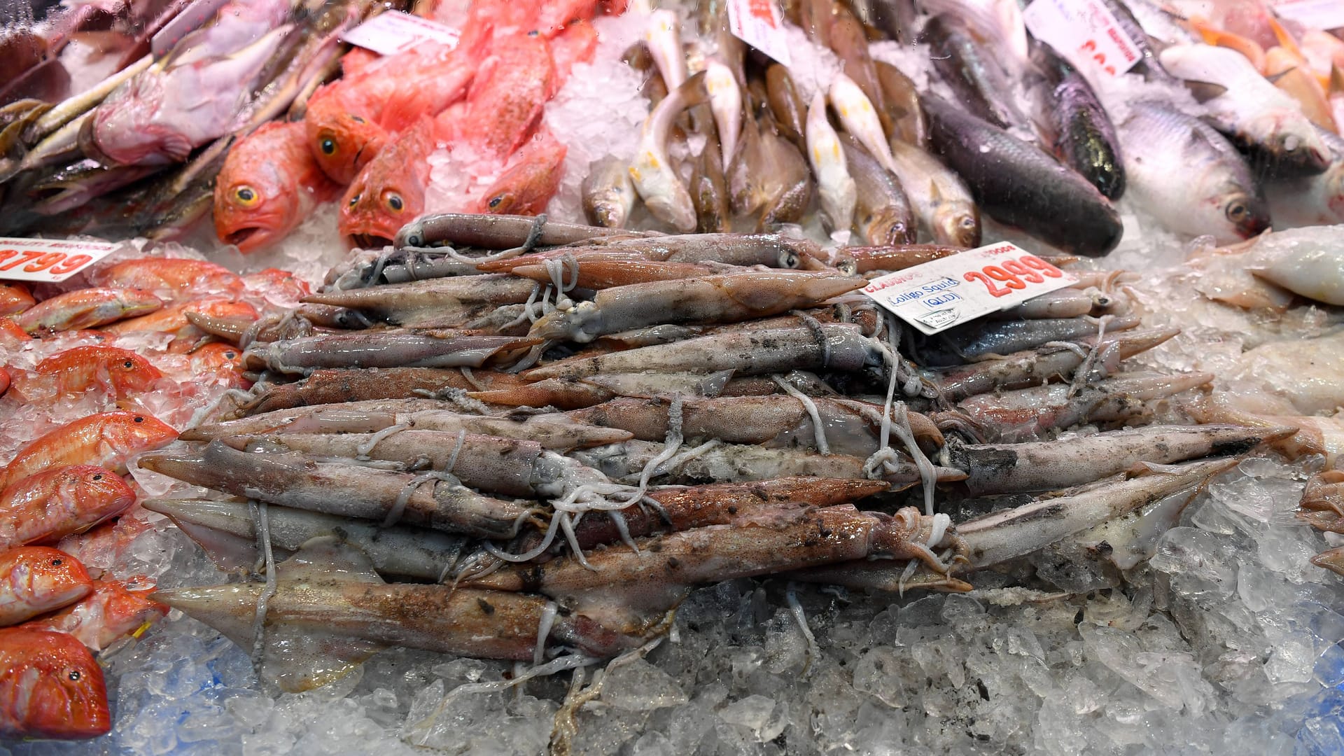 Fische liegen auf einer Auslage (Symbolbild): "Fisch-Lucie" war eine legendäre Händlerin in Bremen. Fische liegen auf einer Auslage (Symbolbild): "Fisch-Lucie" war eine legendäre Händlerin in Bremen.
