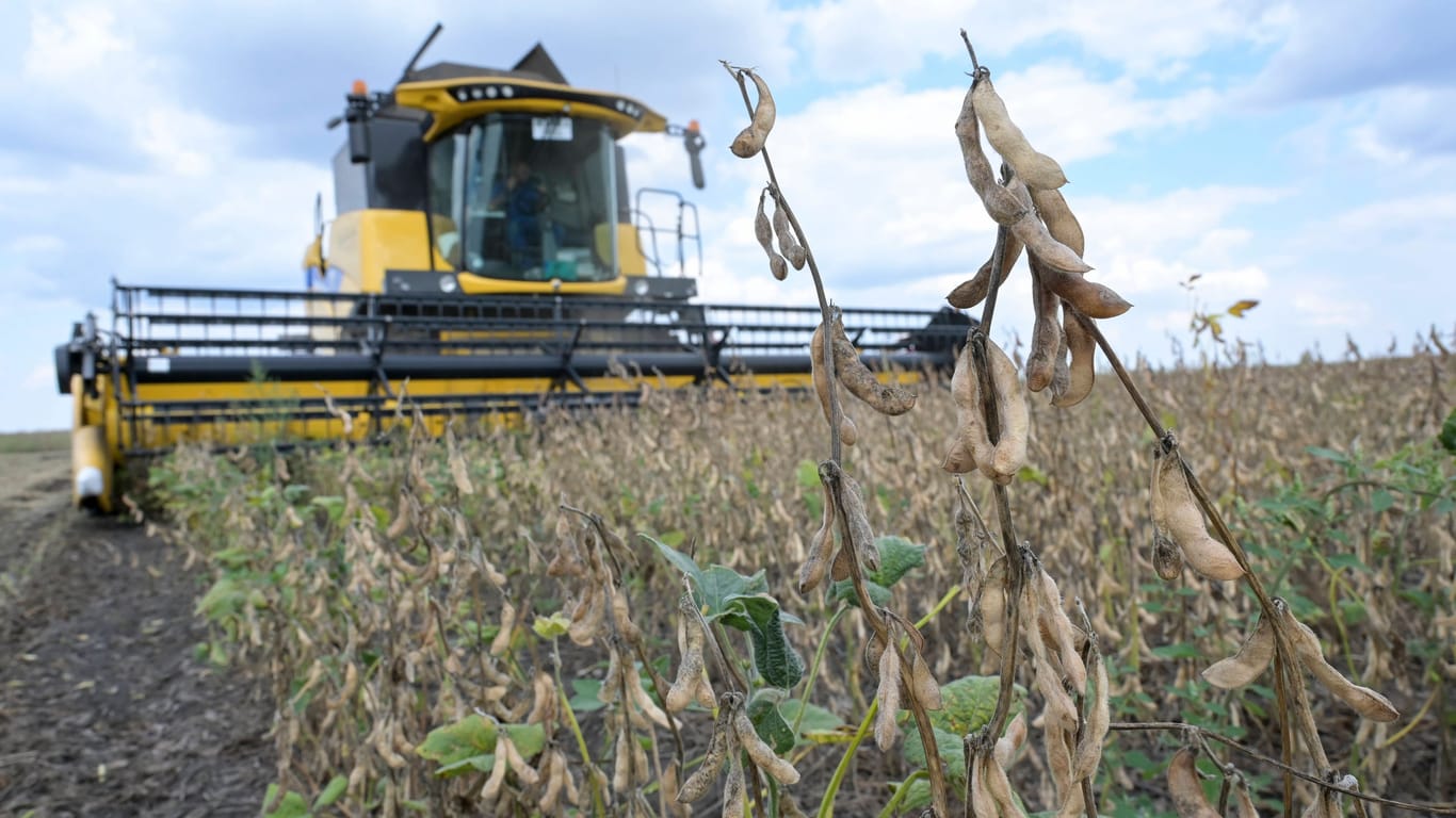 Soja-Ernte: Auch Getreide kann von der neuen Regelung betroffen sein.