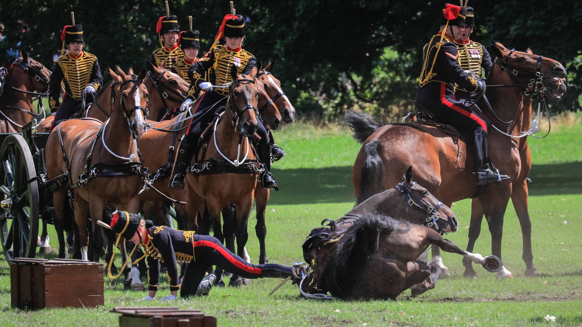 Ein Bild des Unfalls während der Salutschüsse für Queen Camilla.