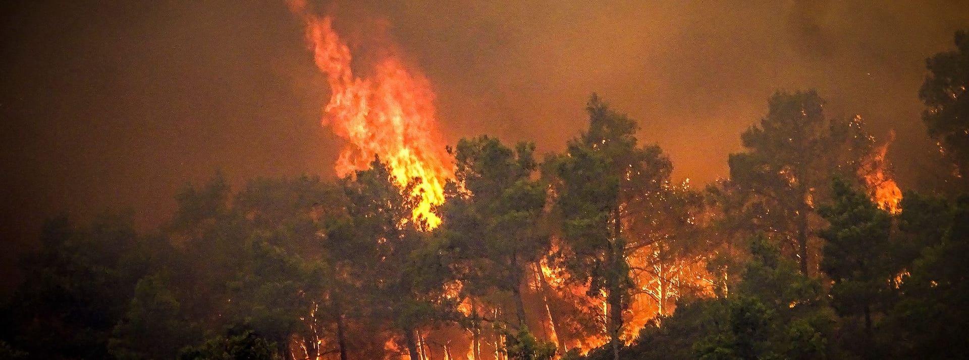 Das Urlaubsparadies hat sich in ein Flammeninferno verwandelt: Die Tourismusbranche sorgt sich um den weiteren Verlauf der Saison.