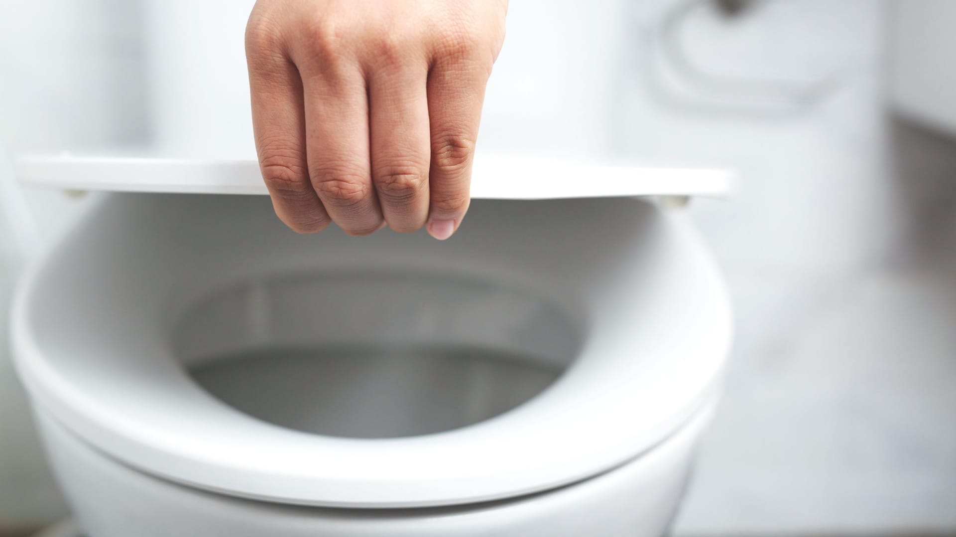 Jemand hebt den Deckel einer Toilette an Jemand hebt den Deckel einer Toilette an